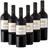 Nero di Troia Primitivo Puglia IGT Contessa Marina Italien  trocken - 6er Karton