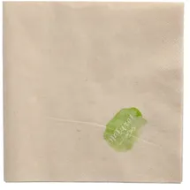 Papstar 250 Servietten, 2-lagig 33 cm x 33 cm natur ungebleicht (89154, 250 Stück)