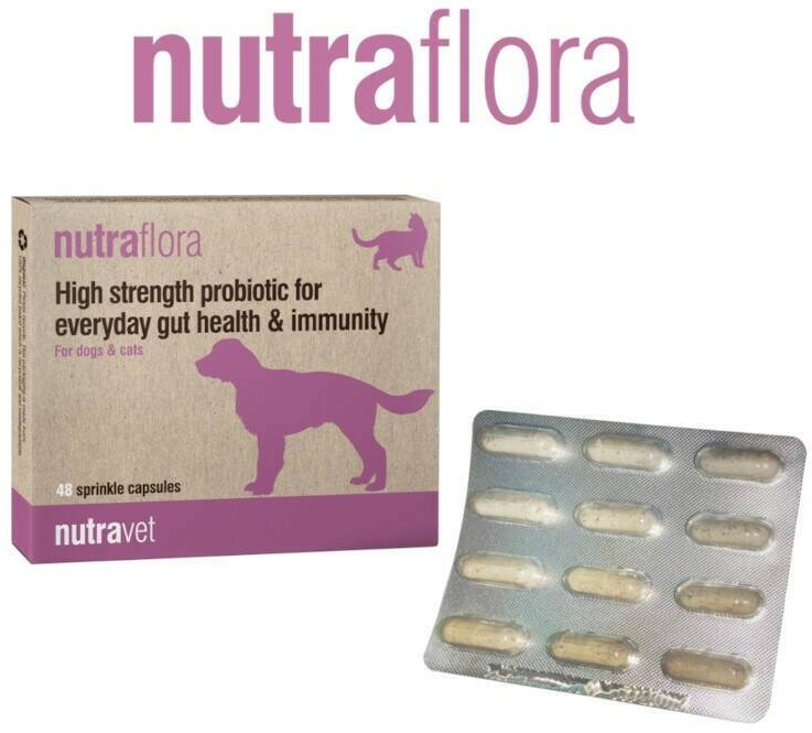 NUTRAVET Nutraflora für Hunde & Katzen 48 Kapseln - Ein Probiotikum, das die tägliche Darm- und Immungesundheit stark unterstützt (Rabatt für Stammkunden 3%)