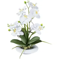 Gasper künstliche Orchidee Phalaenopsis H. 40cm weiß in weißem Keramiktopf