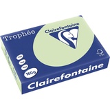 Clairefontaine Trophée A4 160 g/m2 250 Blatt grün