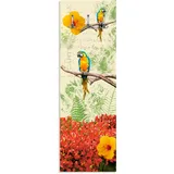 Artland Garderobenleiste »Papagei«, teilmontiert, 22434536-0 bunt B/H/T: 45 cm x 140 cm x 2,8 cm,