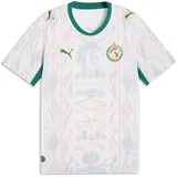 Puma Senegal Heimtrikot (Replica) 2026 Herren Gr. M