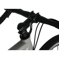 WYLD Gravelbike 28 Zoll RH 56 cm grau