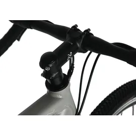 WYLD Gravelbike 28 Zoll RH 56 cm grau