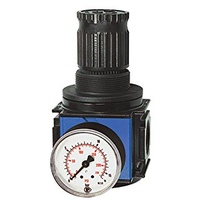 Riegler Druckregler »variobloc«, inkl. Manometer, BG 1, G 1/4,