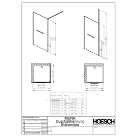 Hoesch Muna Eck-Duschkabine links 100 x 210 cm silber ESG 4760.101401