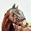 Pony
