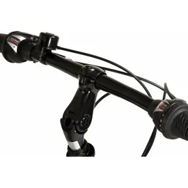 Dacapo Metropolis 28 Zoll RH 53 cm Damen anthrazit