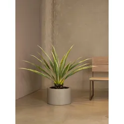 Grüne Agave Kunstpflanze