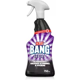 CILLIT BANG Schwarzer/Weisser Schimmel & Hygiene 750 ml