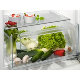 AEG SKE612F1AF Einbaukühlschrank (203 l, 1224 mm hoch)