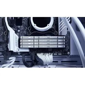 Kingston FURY Beast DDR5 5600MT/s 16GB Modul (1x16GB) CL40 Weiß KF556C40BW-16