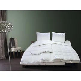 billerbeck Eliana 90, Kassette IV extrawarm
