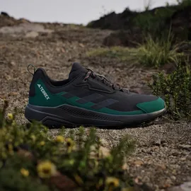 adidas Herren Terrex Anylander Wanderschuh - core Black / Carbon / Collegiate Green, 49 1/3 EU 49 1/3 EU