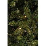 Black Box Trees Weihnachtsbaum »BB Naturals lit«, baumförmig, ø: 127 cm, grün - gruen