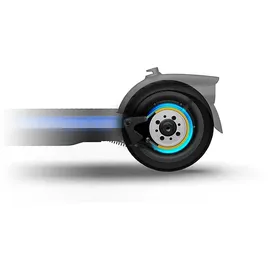 NINEBOT Segway-Ninebot F20 D E-Scooter (10 Zoll, Schwarz)