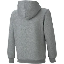 Puma Essentials Big Logo Fleece-Hoodie Jungen medium gray heather 116
