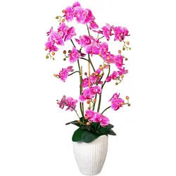 Kunstblume Orchidee
