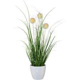OTTO home Kunstgras OTTO HOME "Grasbusch, naturgetreue Kunstpflanze, 35cm hoch", grün (grün, weiß), H:35cm Ø:7,5cm, Kunststoff, Kunstpflanzen, im 3 teiligen Set, mit Übertopf wahlweise in schwarz oder weiß