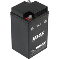 BS Battery Batterie SLA, versiegelt, Batterie B49-6 ETN: 008 011 004