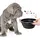 petsation Faltbarer Reisenapf schwarz 2x350 cm3