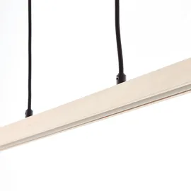 Brilliant Arion 1-flg. 22 W 103 cm Holz schwarz