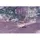 ACAMP Schaukelliege 143 x 57 x 81 cm Anthrazit