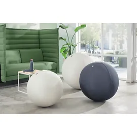 Leitz Ergo Active Sitzball Dunkelgrau 65 cm