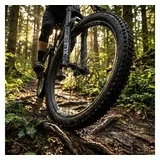 DT Swiss Laufrad M 1900 SPLINE 29" 30mm