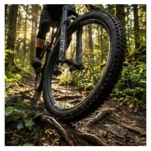 DT Swiss Laufrad M 1900 SPLINE 29" 30mm
