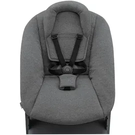 hauck Alpha+ dark grey inkl. Alpha Newborn Set Plus