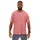Gore Wear Gorewear Training Herren Rosa S)