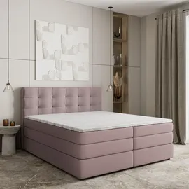masseno AREZI 160 x 200 cm H2 Rosa