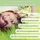 vitacrest Vitamin D3 + K2 für Kinder ab 1 Jahr Tropfen 10 ml