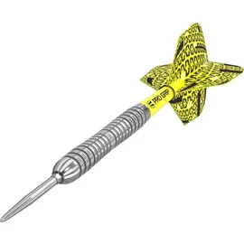 Target Darts Bolide 04 23 g