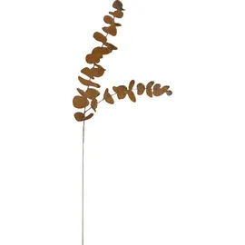 Badeko Topfstecker Eukalyptus 68 cm Braun