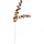 Badeko Topfstecker Eukalyptus 68 cm Braun