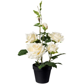Gasper Kunstpflanze Rosenbusch im Kunststofftopf, Farbe: Creme, in der Höhe: 48 cm, 3019006-48