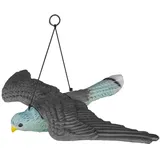 Bradas Taubenschreck Falke fliegend
