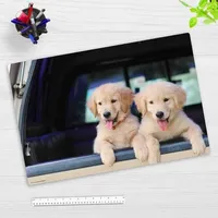 cover-your-desk Schreibtischunterlage für Kinder und Erwachsene Golden Retriever Welpen, aus hochwertigem Vinyl , 60 x 40 cm