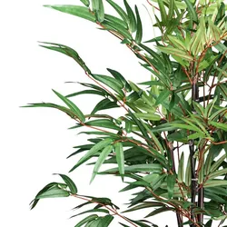 CREATIV green künstliche Pflanze Bambus chinese wonder, ca 160cm
