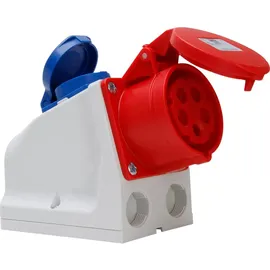 Kopp Klappdeckelsteckdose 3 St. Grau-Rot-Blau