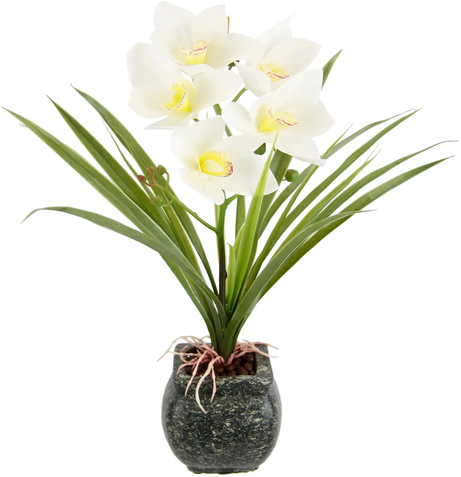Kunstblume OTTO HOME 