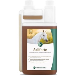 ESS Supplements Saliforte 1000ml Flasche