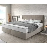 DeLife Boxspringbett Dream-Well Mikrofaser Beige 200x200 cm mit Taschenfederkernmatratze und Topper Visco, Boxspringbetten