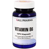 Hecht Pharma Vitamin B6 GPH Kapseln 90 St.