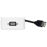 Vivolink WI221275 USB Steckdose