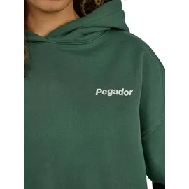 Pegador Hoodie grün S