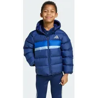 adidas Winterjacke Dark Blue/Team Royal Blue/Glow Blue 116